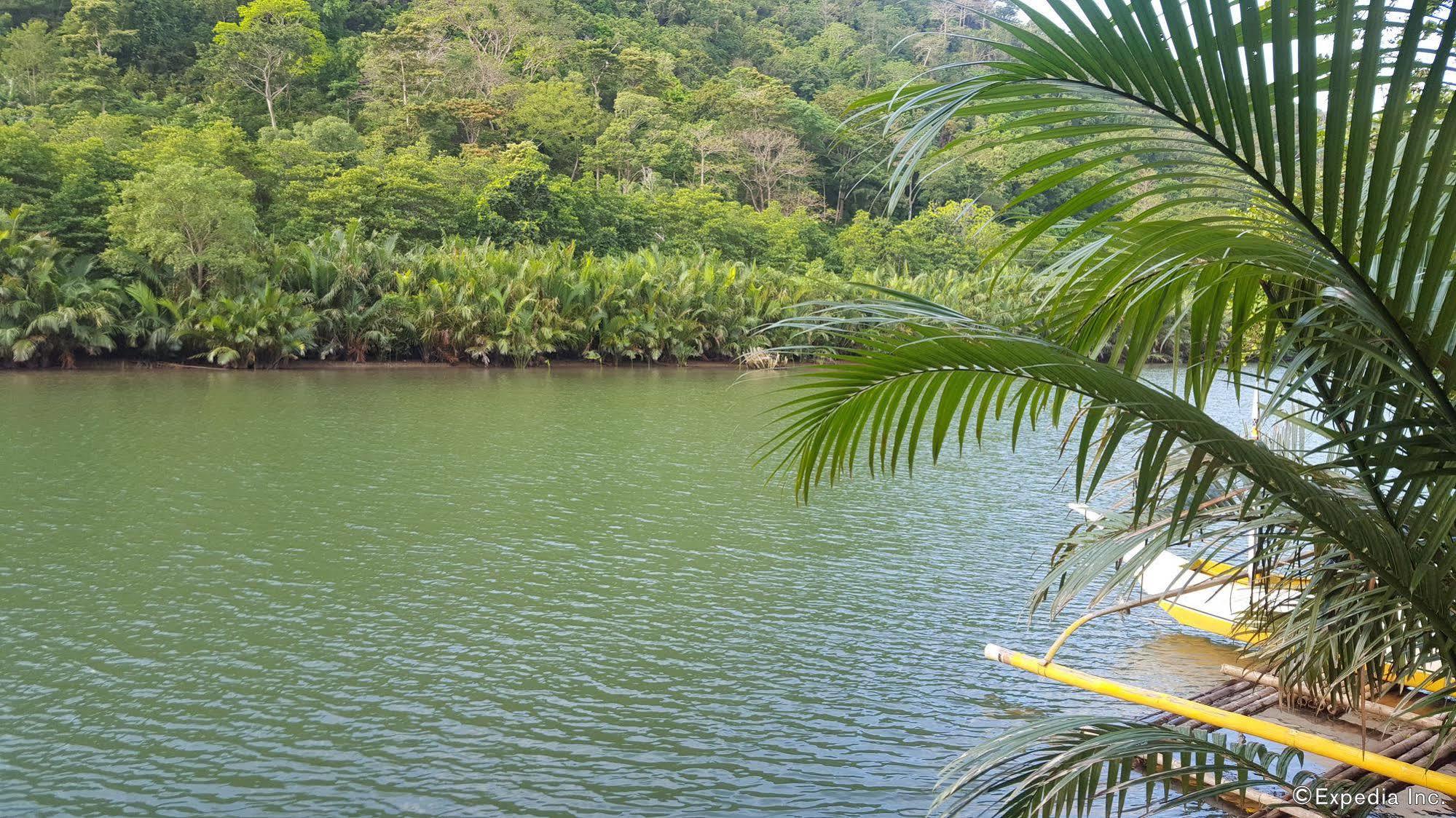 Mangrove Resort Puerto Princesa Bagian luar foto