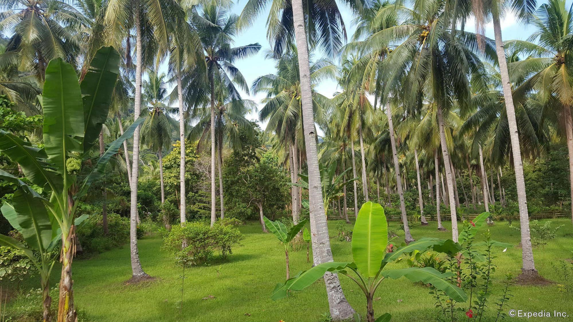 Mangrove Resort Puerto Princesa Bagian luar foto