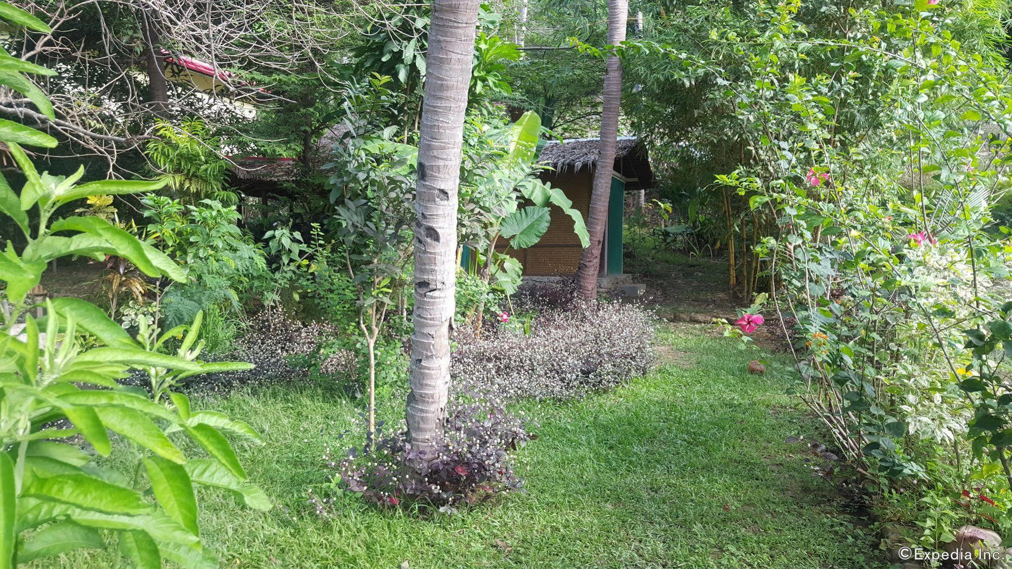 Mangrove Resort Puerto Princesa Bagian luar foto